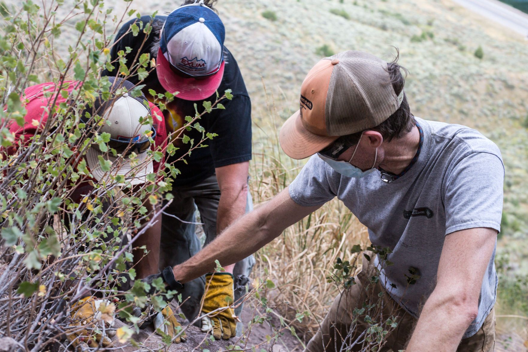 Rodeo Wall stewardship project